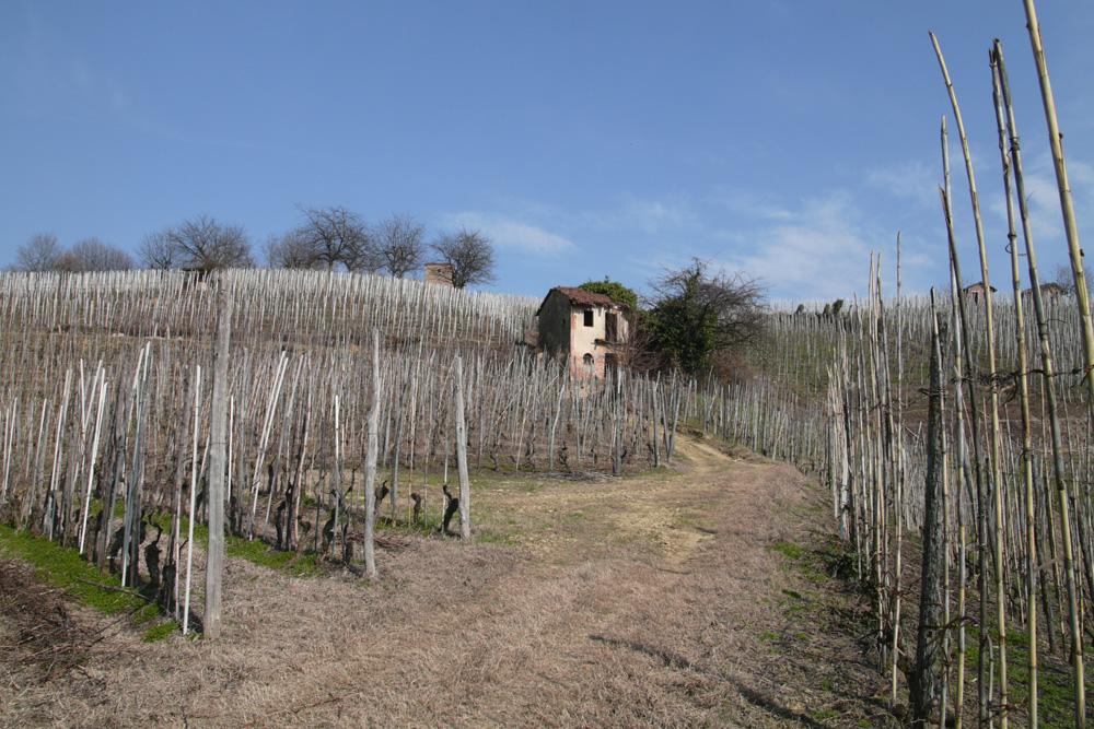 Sentiero del Tartufo