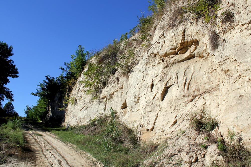 Sentiero dei Fossili