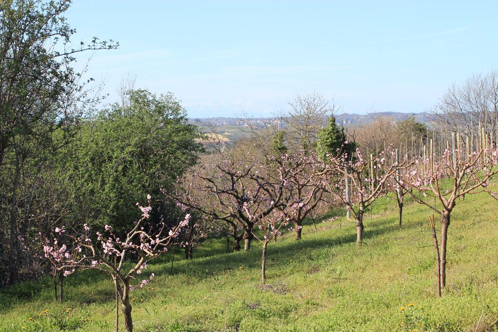 Sentiero del Tasso