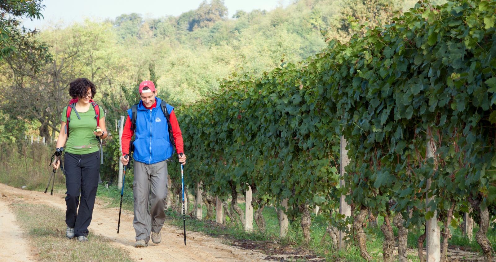 TREKKING ESPLORATIVO GUIDATO