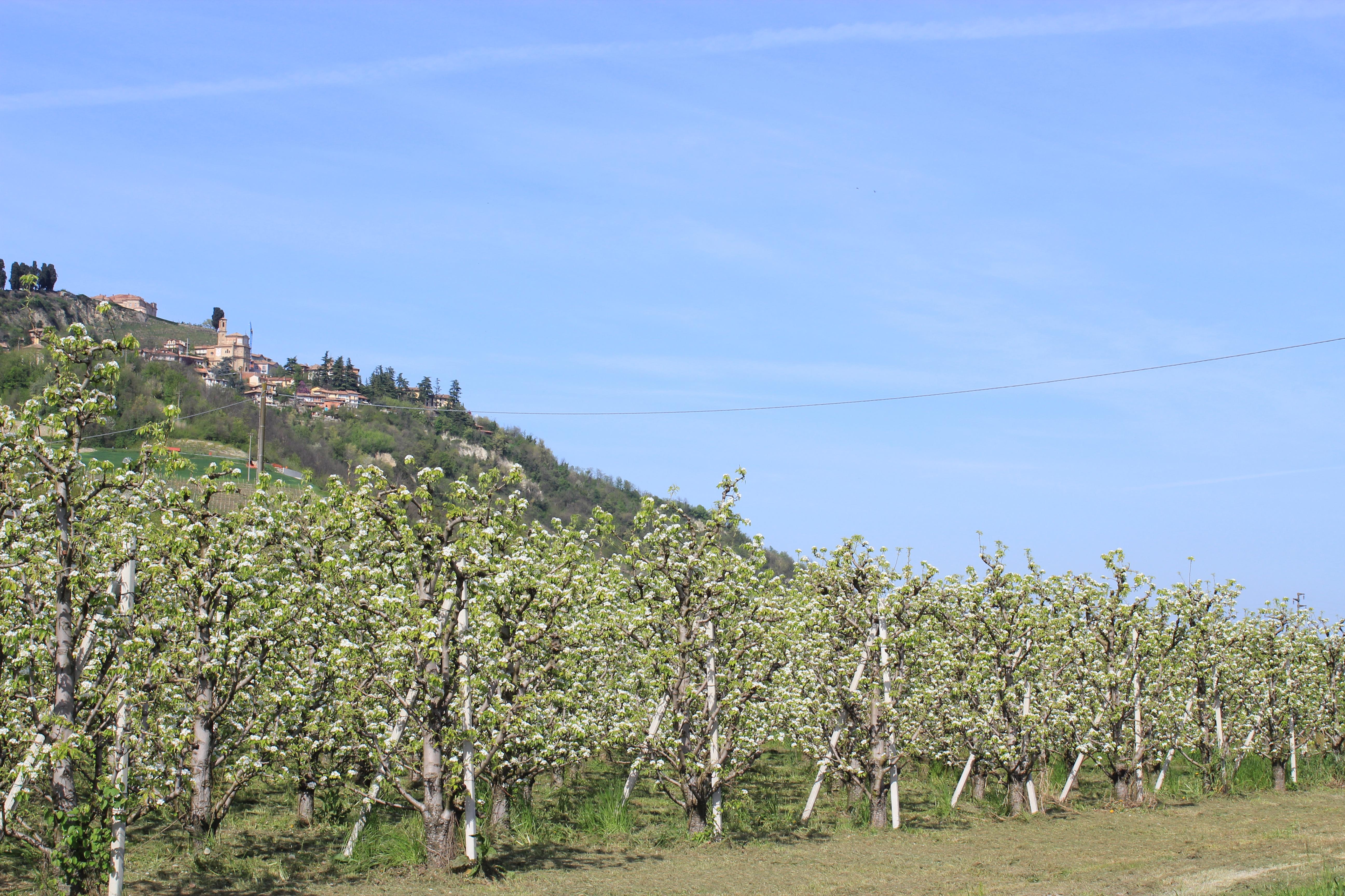 Sentiero dell'Acino 