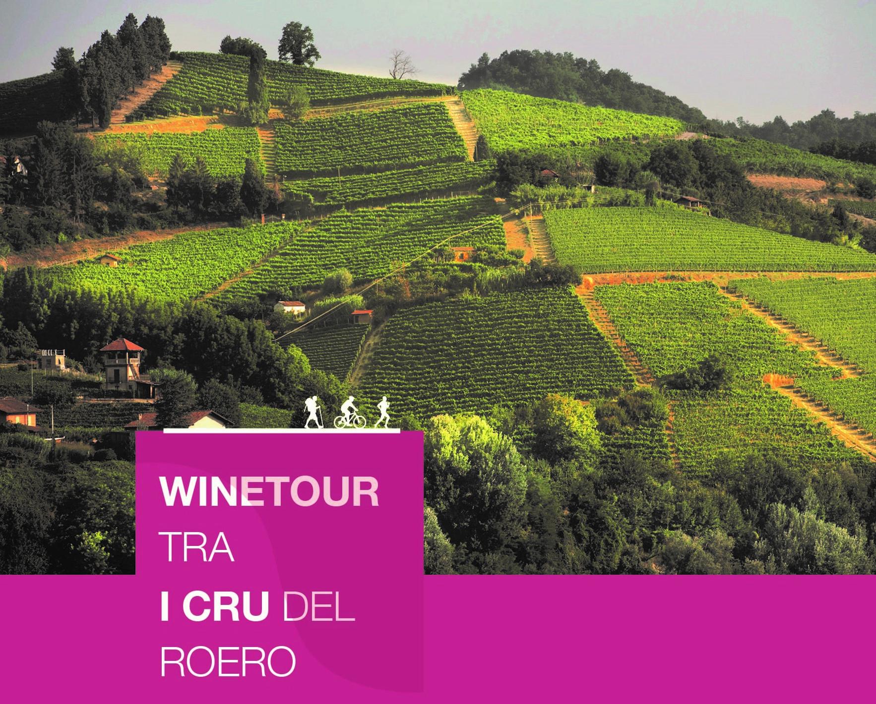WineTour tra i Cru del Roero