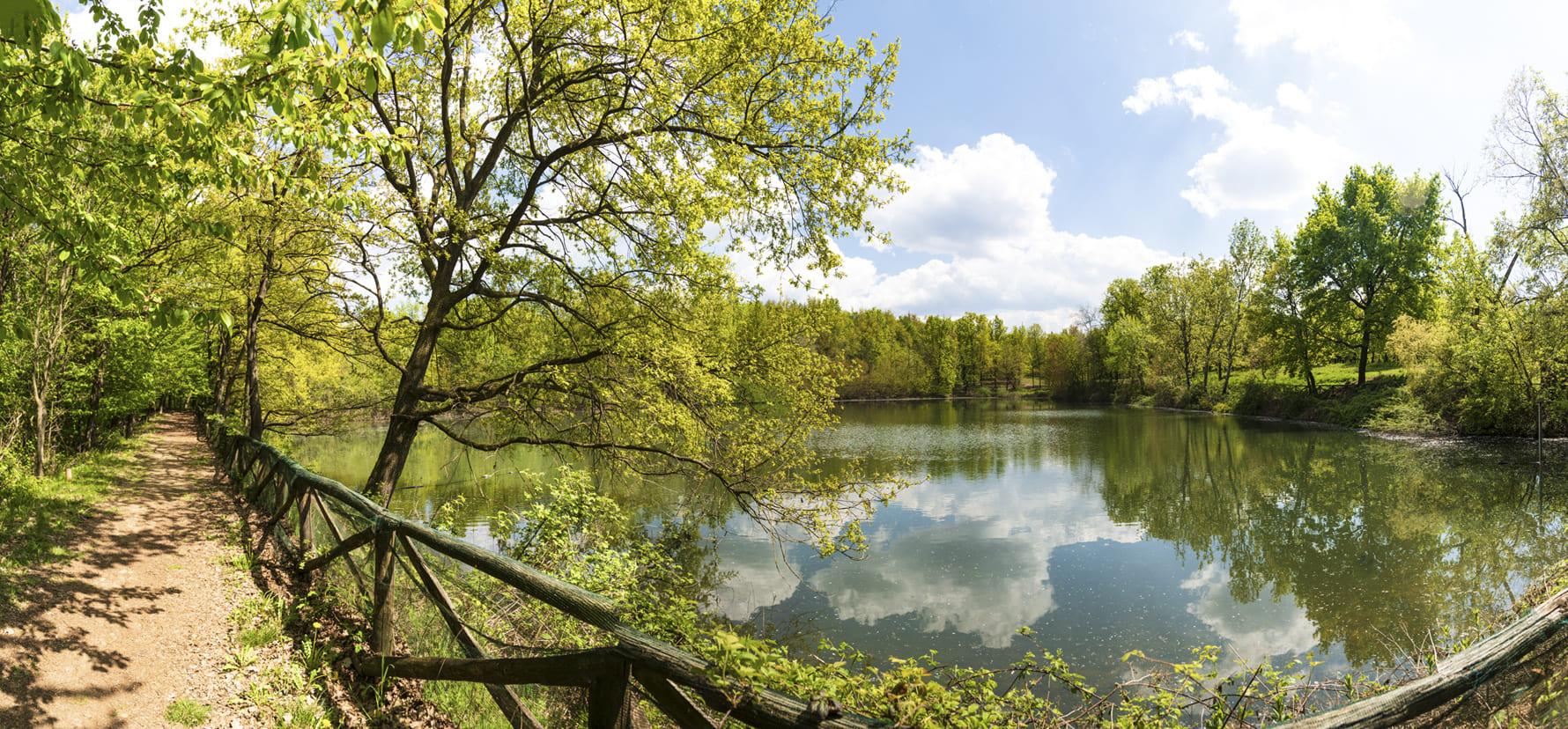 Sentiero da Sommariva del Bosco per il Parco Forestale del Roero