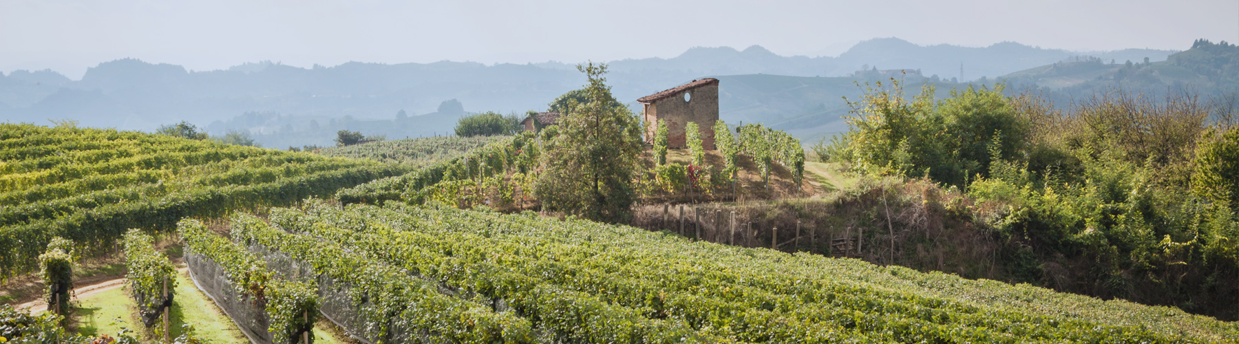 Ecomuseo delle Rocche del Roero