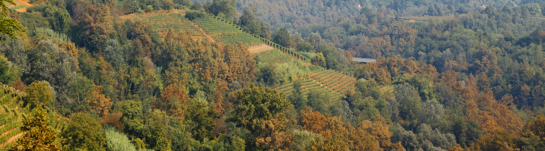 Ecomuseo delle Rocche del Roero